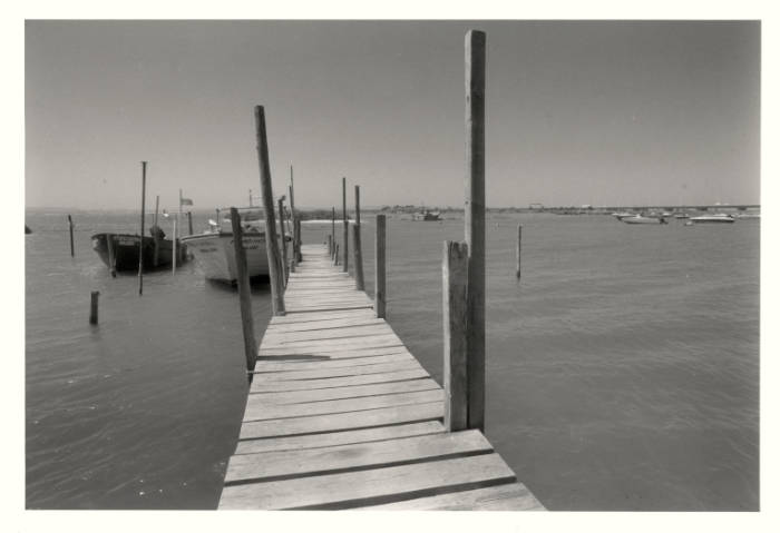 At the Pier