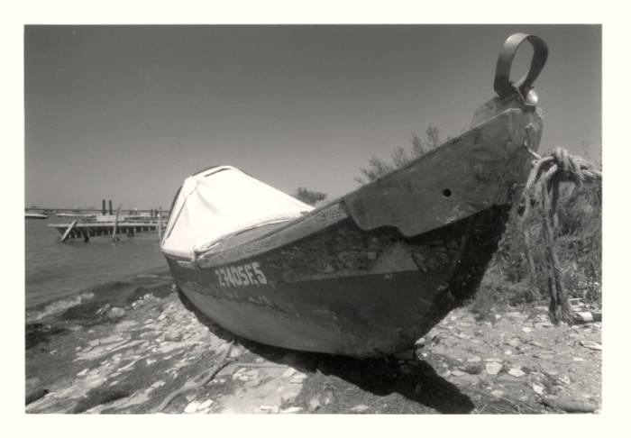 Beached