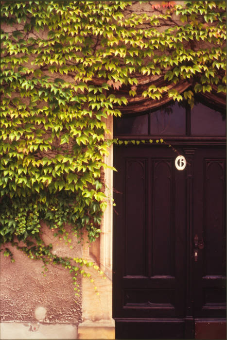 Ivy Door